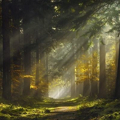 爱游戏综合官方网站App下载