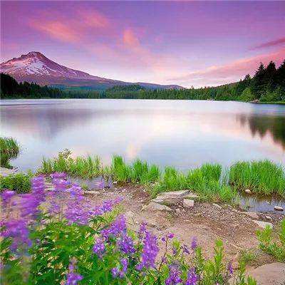 万博全站APP最新版